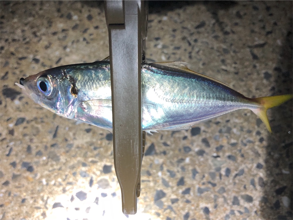 f:id:ajing55:20180908151528j:image