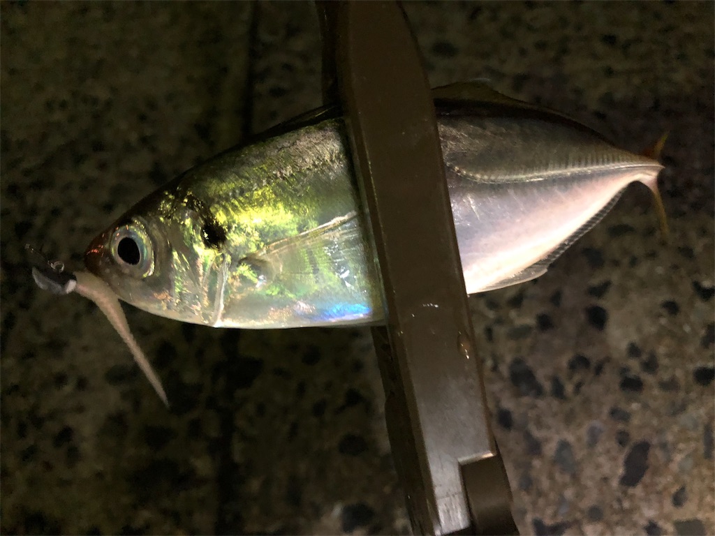 f:id:ajing55:20180911094503j:image