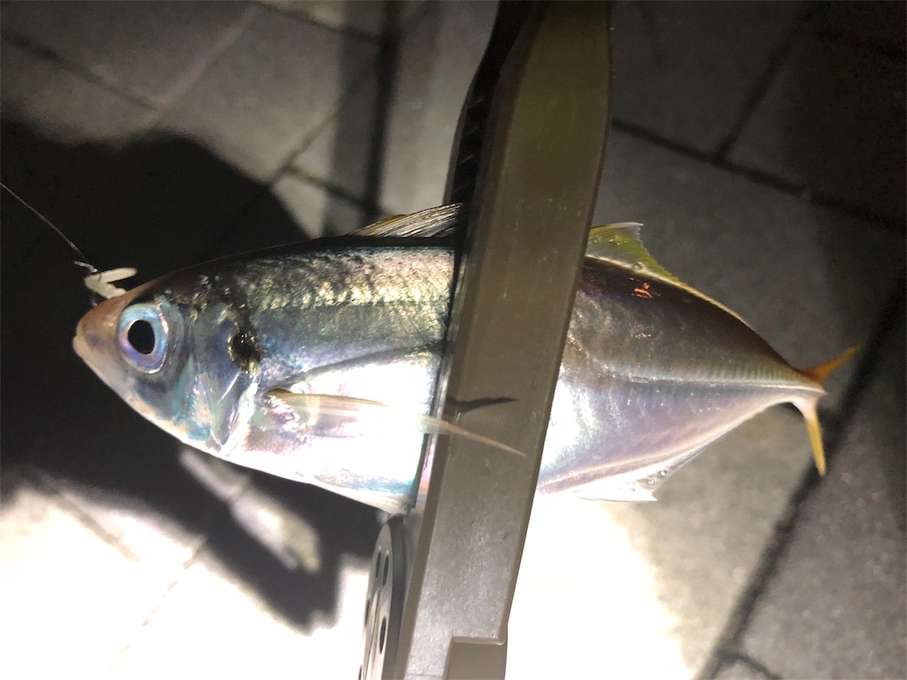 f:id:ajing55:20180911151639j:image