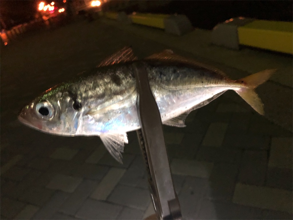 f:id:ajing55:20180911154711j:image