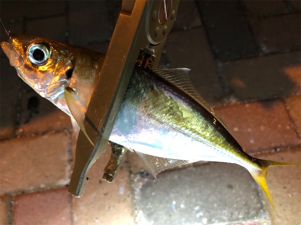 f:id:ajing55:20180922105458j:image