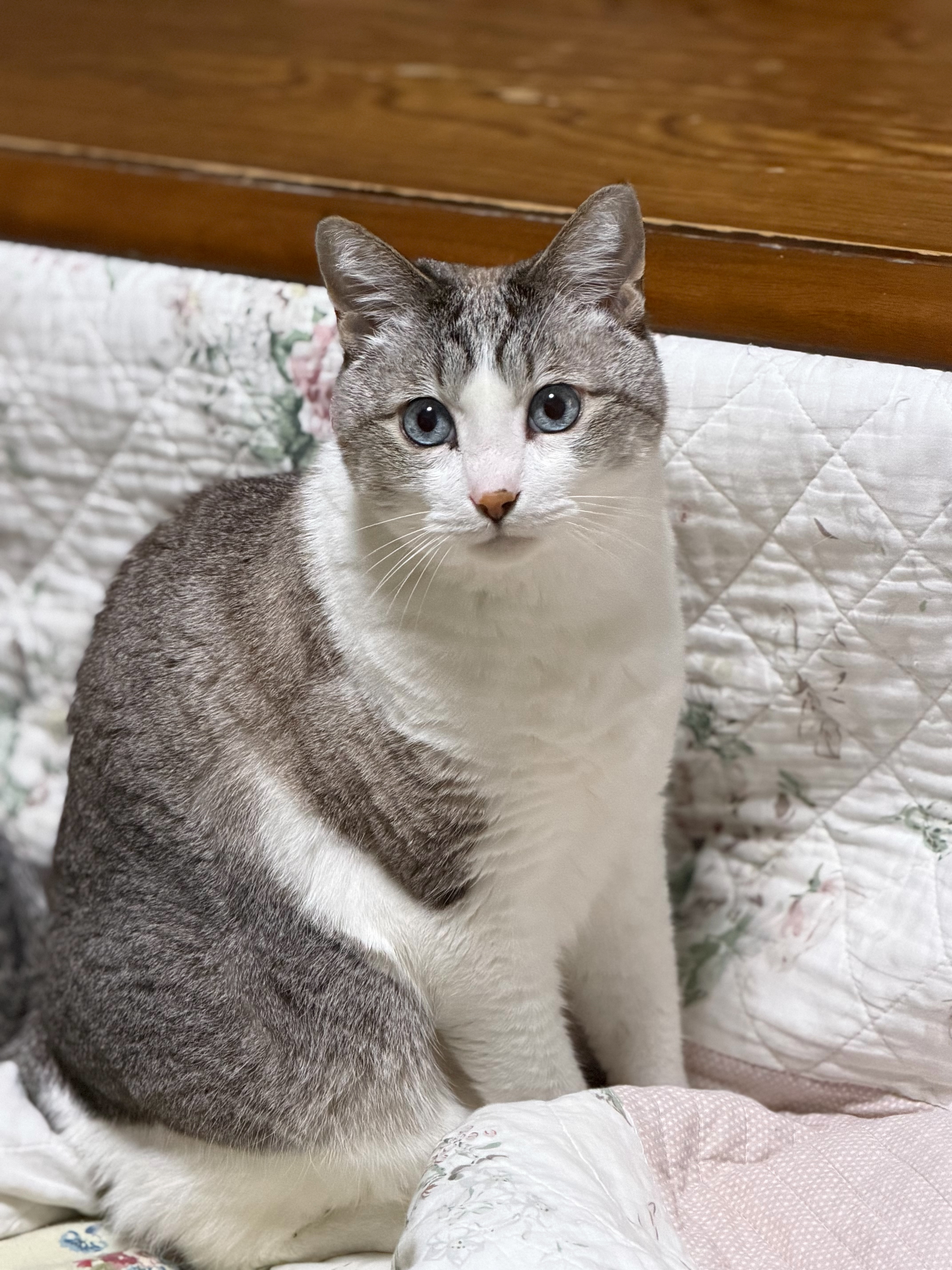 f:id:ajinomoto10:20260102011741j:image f:id:ajinomoto10:20260102011741j:image