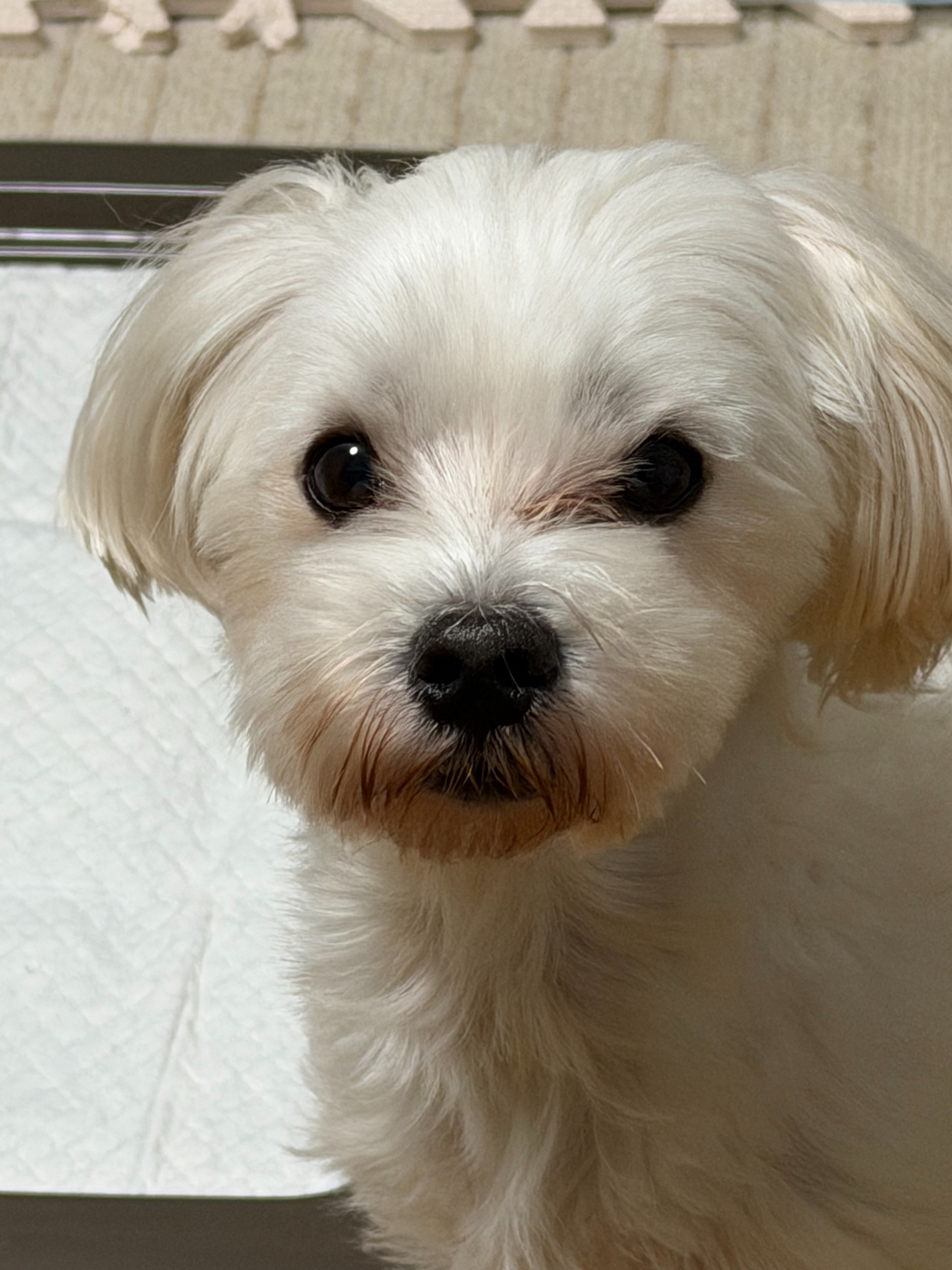 f:id:ajinomoto10:20260102011746j:image f:id:ajinomoto10:20260102011746j:image