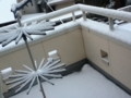 20110116164151
