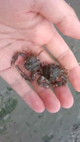20120602215419
