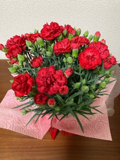 f:id:ajisaibana20:20210529070228j:plain