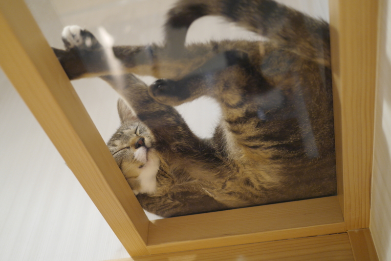 f:id:ajisashi:20140330144055j:image
