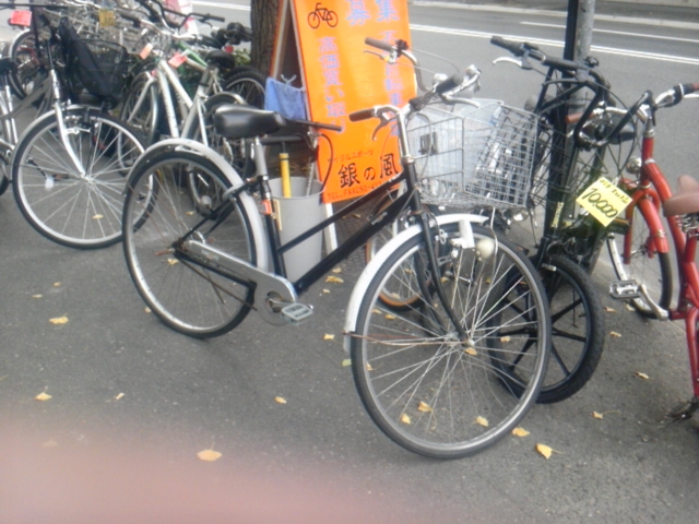 f:id:ajishiro:20111117140249j:image:w360 f:id:ajishiro:20111117140249j:image:w360