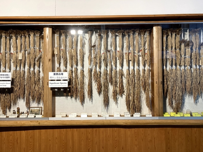 f:id:ajitama100yen:20211005013828j:plain