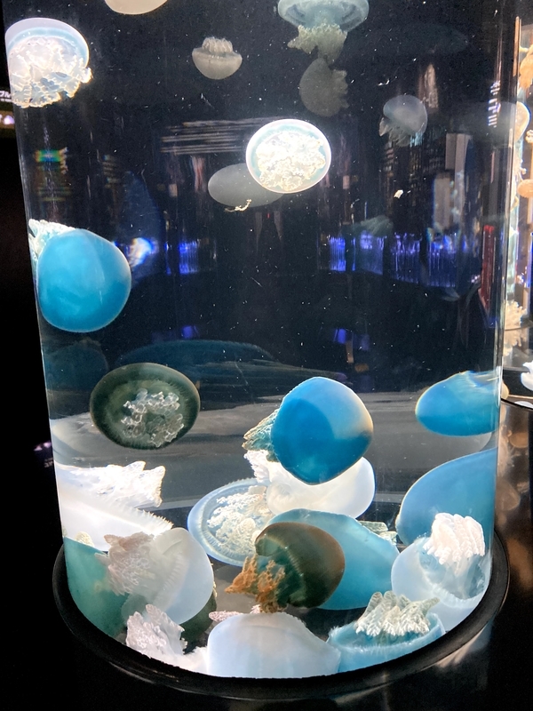 f:id:ajitama100yen:20211005014230j:plain