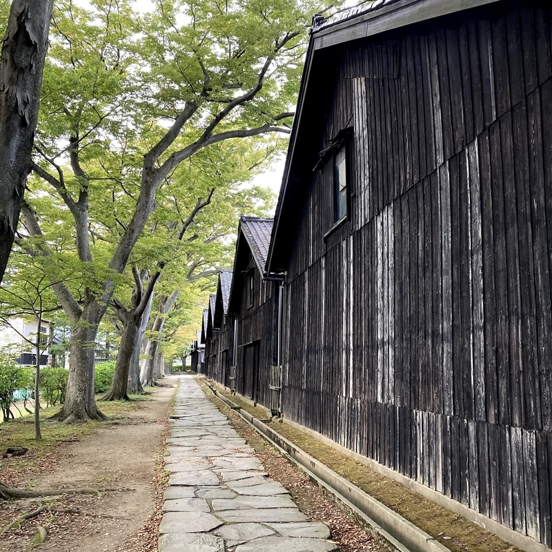 f:id:ajitama100yen:20211005014737j:plain