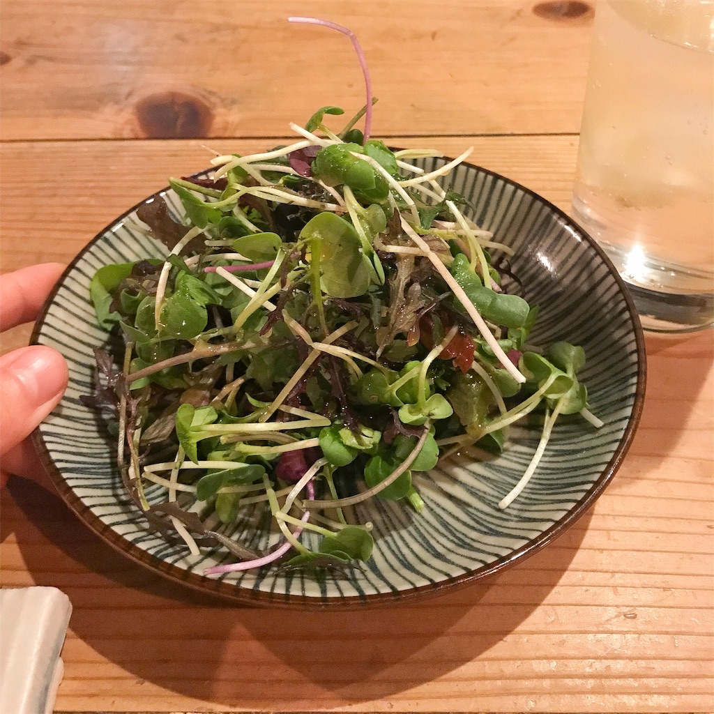 f:id:ajpupupu:20190114202407j:image