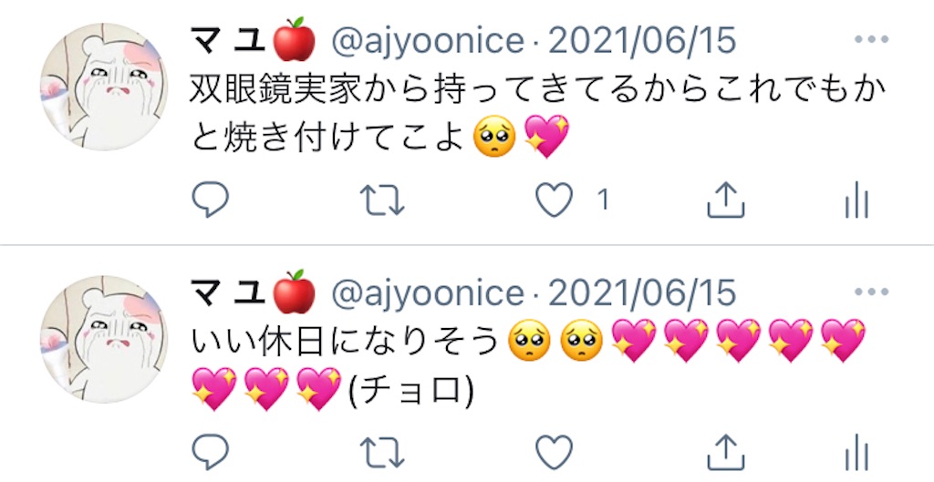 f:id:ajyoonice223:20210623172327j:image