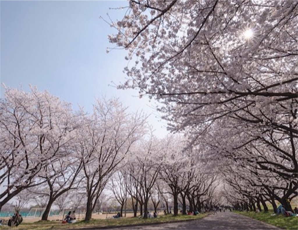 f:id:ak1027:20190311222830j:image f:id:ak1027:20190311222830j:image