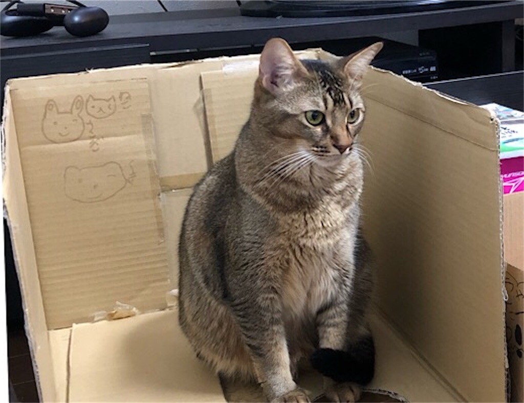 f:id:ak1027:20190313222419j:image f:id:ak1027:20190313222419j:image