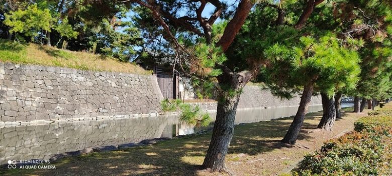 京都 二条城外堀沿い