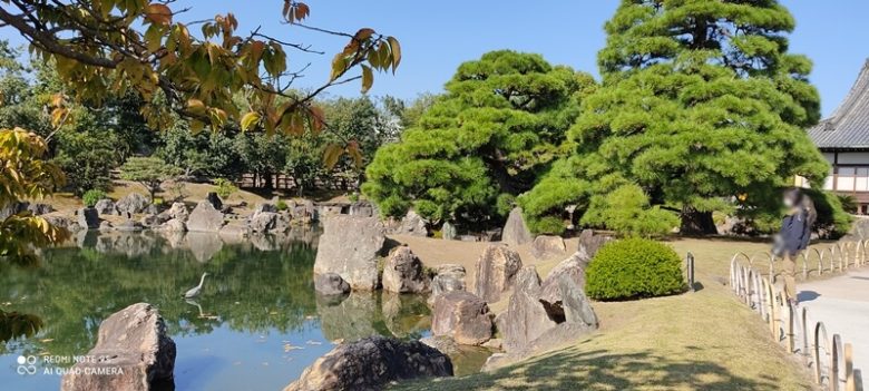 京都 二条城二の丸庭園