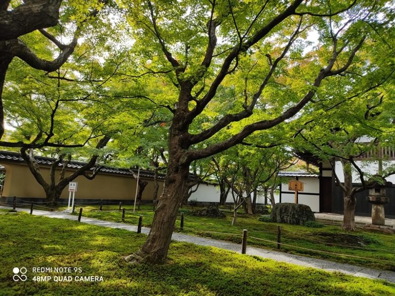京都 大徳寺 黄梅院