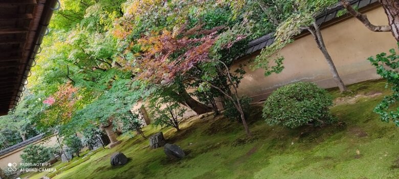 京都 大徳寺 興臨院方丈前庭