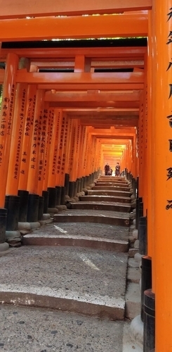 京都 伏見稲荷大社