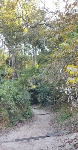 京都 伏見神宝神社