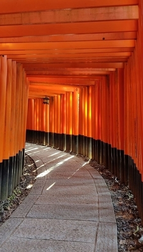 京都 千本鳥居