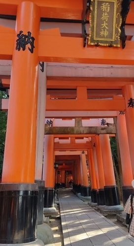 京都 千本鳥居