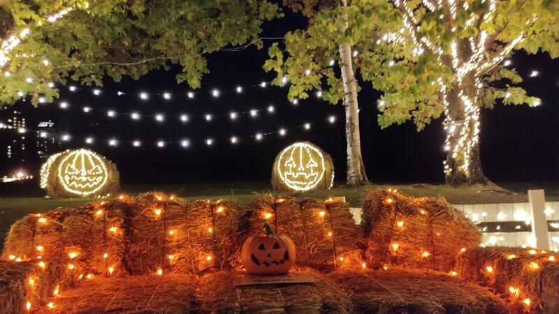 動物おばけハロウィン