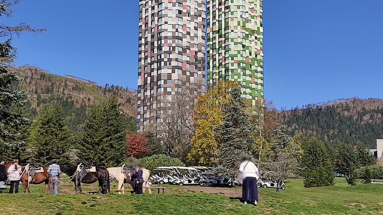 カートからの風景