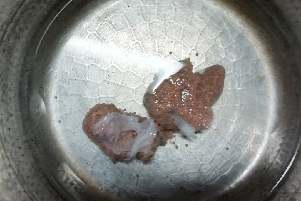 f:id:ak2r10mo:20190118114659j:plain