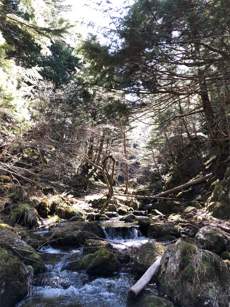 f:id:ak46jp:20190510144040j:image f:id:ak46jp:20190510144040j:image