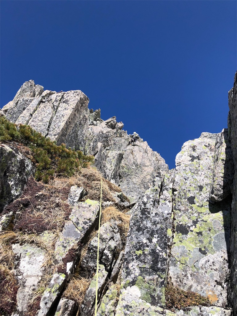 f:id:ak46jp:20190525122927j:image f:id:ak46jp:20190525122927j:image