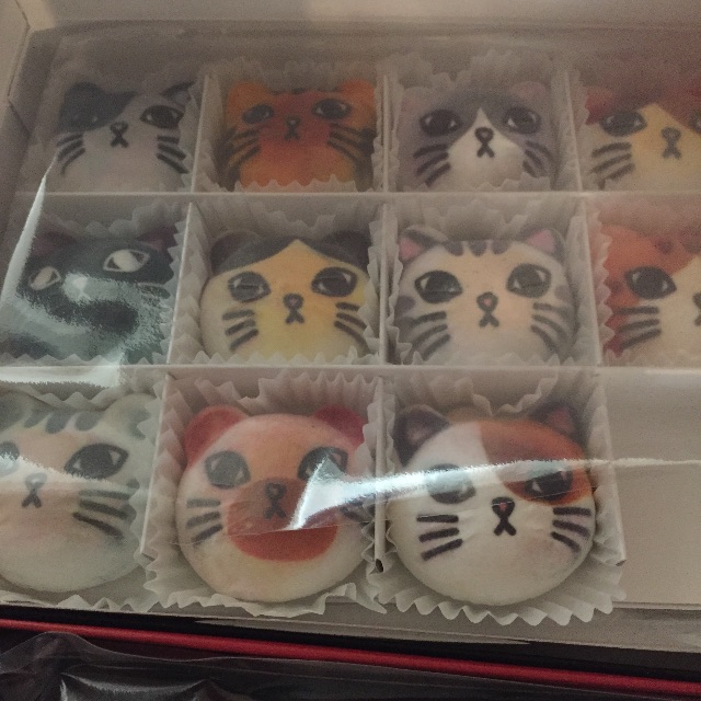 66g フェリシモ 猫マシュマロ