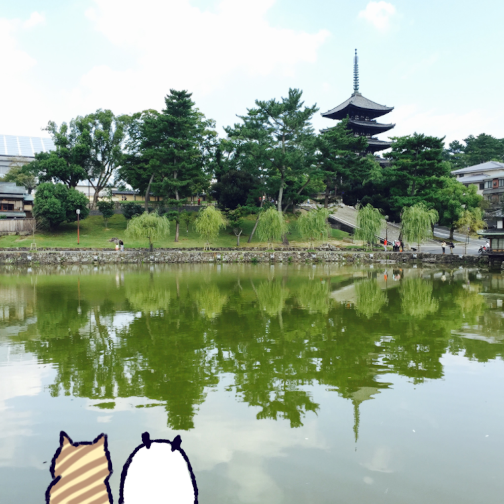 f:id:ak66g:20151011162847p:image f:id:ak66g:20151011162847p:image