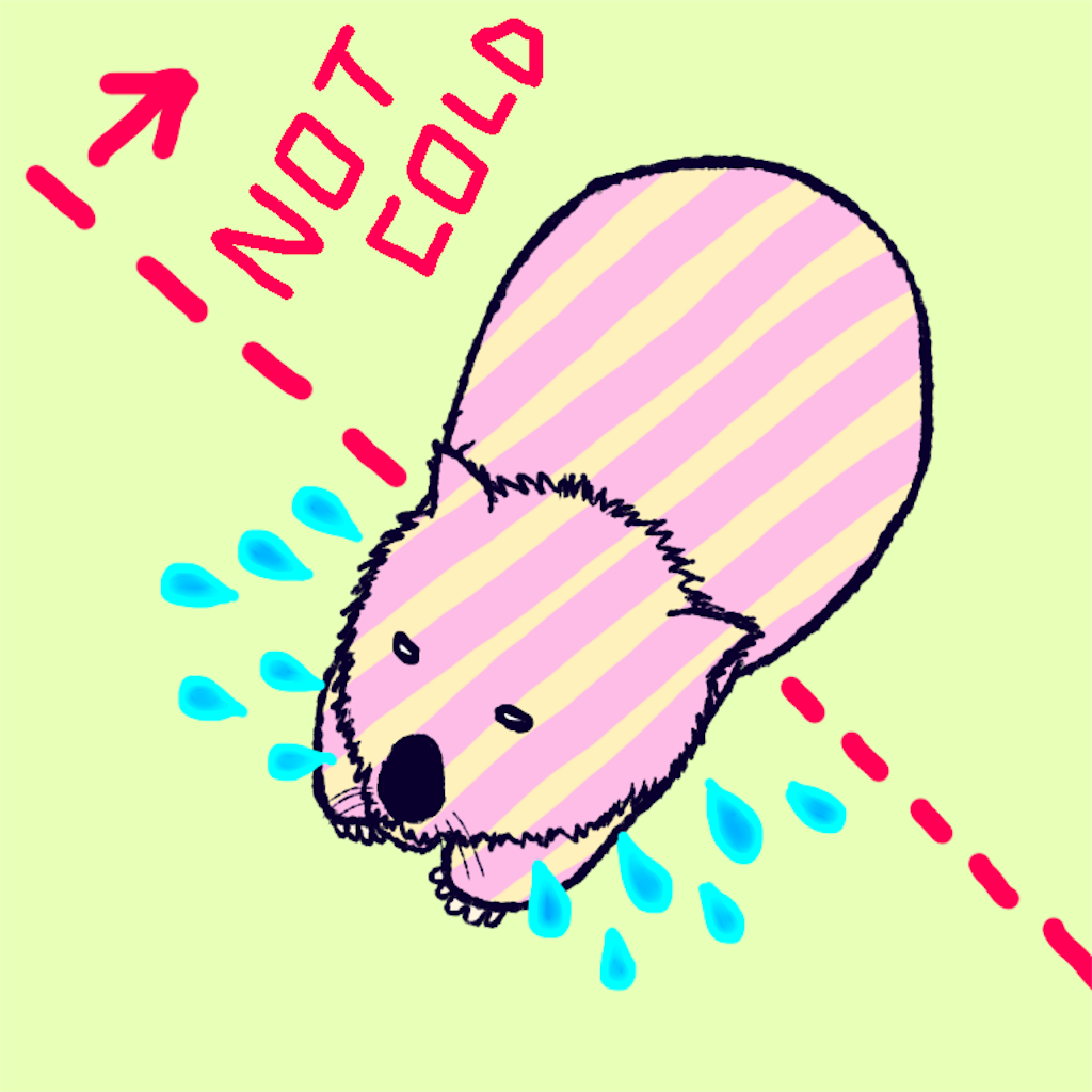 頭を濡らすウォンバット イラスト