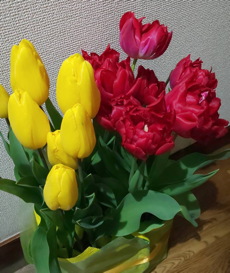 f:id:ak_hauta_school:20220210080740j:plain
