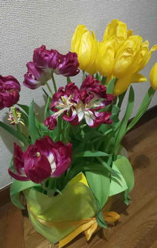 f:id:ak_hauta_school:20220319081206j:plain