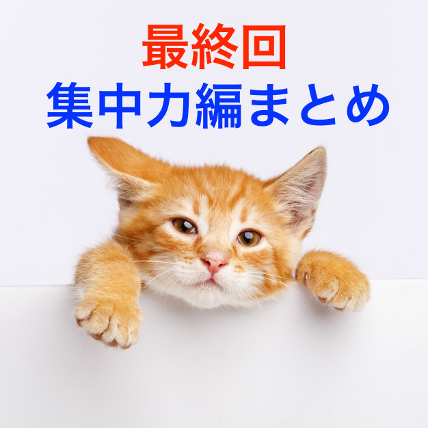 猫と集中力