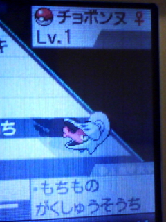 ポケモンにっき 続チョボマキの巻 もこのこゲームぽっけと