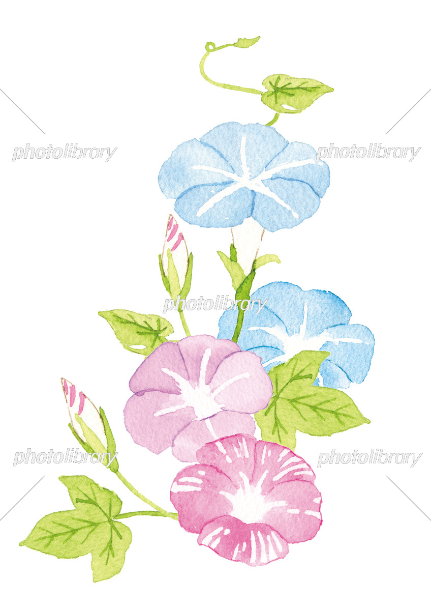 障害者支援施設みやた宛 3 0012福岡県宮若市長井鶴5 1電話番号0949 34 5066 Aka12aya70y S Blog 障害者支援施設みやた宛 3 0012福岡県宮若市長井鶴5 1電話番号0949 34 5066 Aka12aya70y S Blog