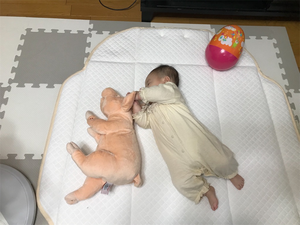 f:id:aka323:20180612160205j:image f:id:aka323:20180612160205j:image