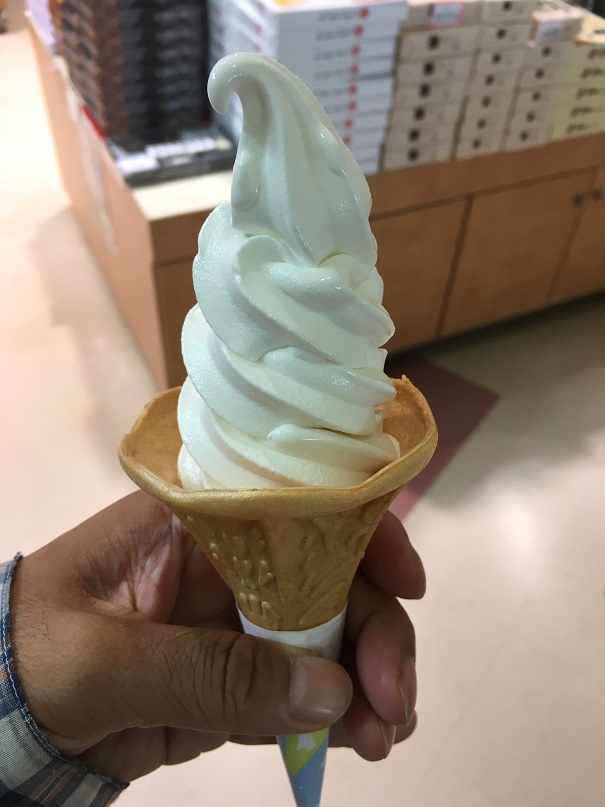 f:id:akaYAMANASHI:20190721192735j:plain