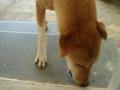 20081223140729