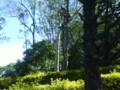 20090101100753