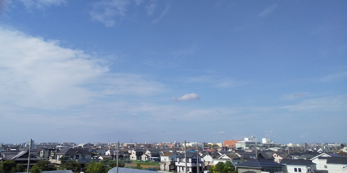 堤防から見た市街地