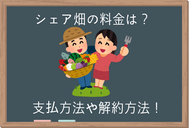 シェア畑　料金　解約　契約　口コミ