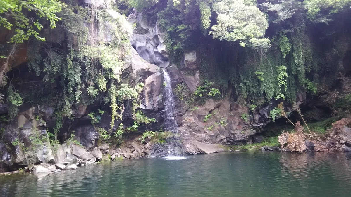 f:id:akabuchi:20190501153211j:plain
