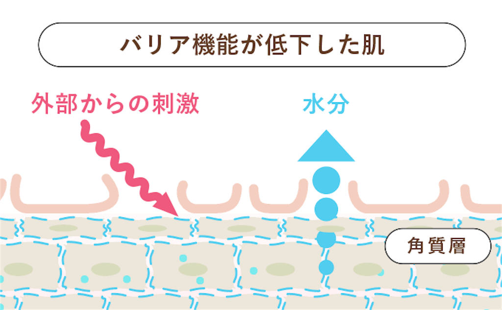 f:id:akachanhada:20211201000547p:image