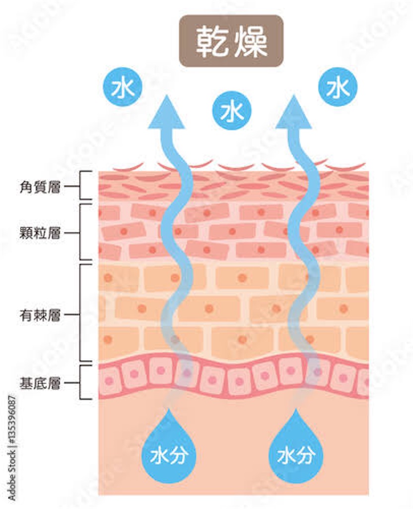 f:id:akachanhada:20211203201747j:image