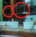 f:id:akachannel:20160820073236j:plain f:id:akachannel:20160820073236j:plain